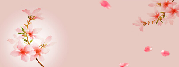 唯美淘宝广告banner