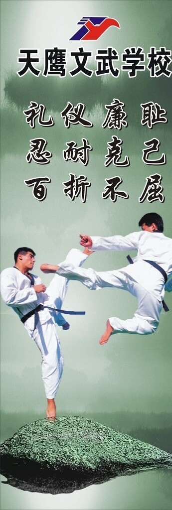 天鹰文武跆拳道海报图片