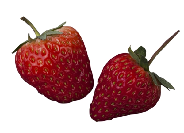 新鲜水果草莓好吃纯天然