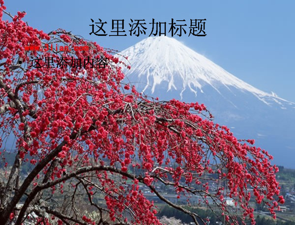 高清富士山樱花