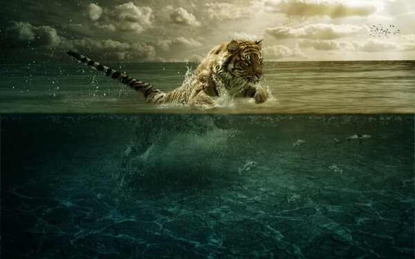 老虎跳水图片