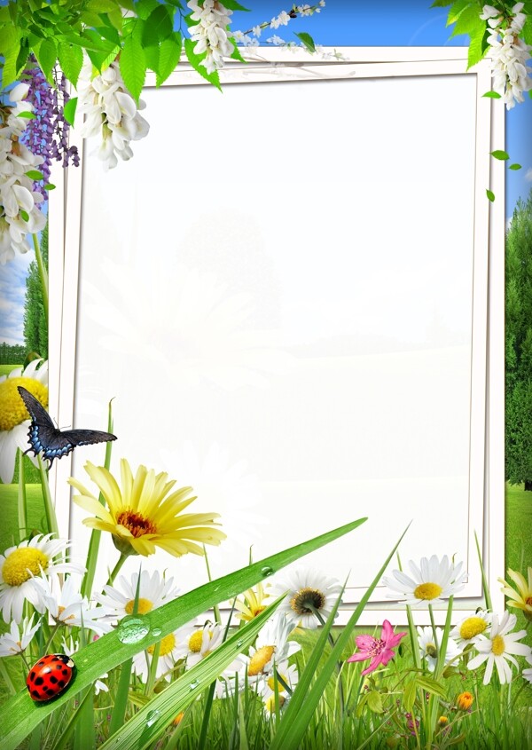 高清鲜花相框装饰框架