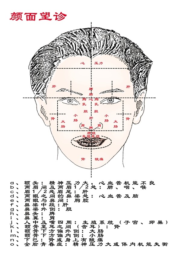 颜面望诊图片