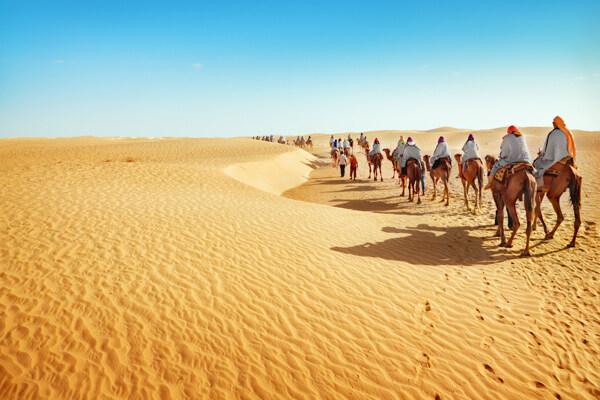 骑骆驼行驶沙漠的人群