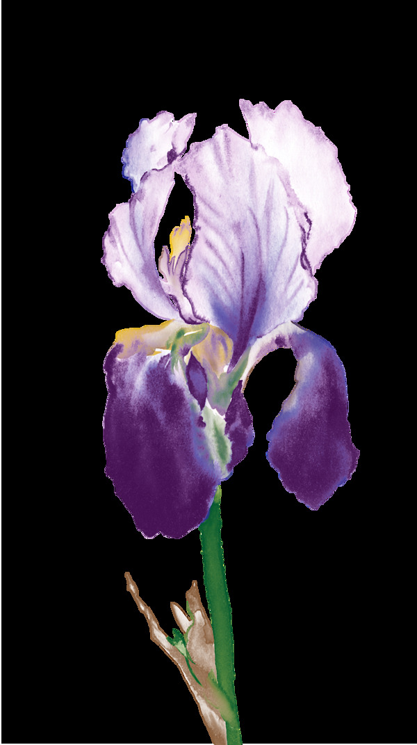 简约紫色花朵装饰元素