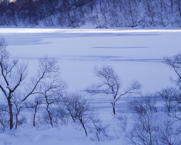 冬天雪景