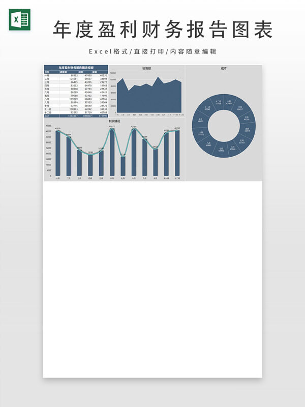 年度盈利财务报告图表